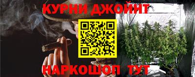 крисы Аргун