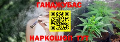 крисы Аргун